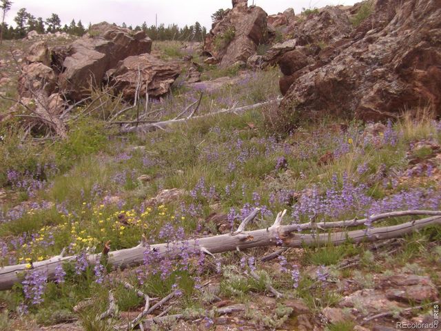 3434 Davis Ranch Road, Bellvue, CO 80512