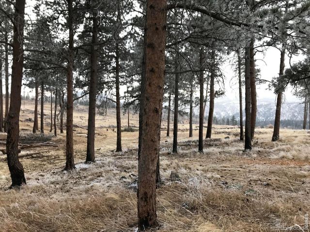 3434 Davis Ranch Road, Bellvue, CO 80512