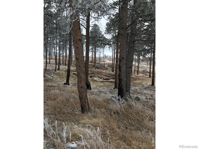 3434 Davis Ranch Road, Bellvue, CO 80512