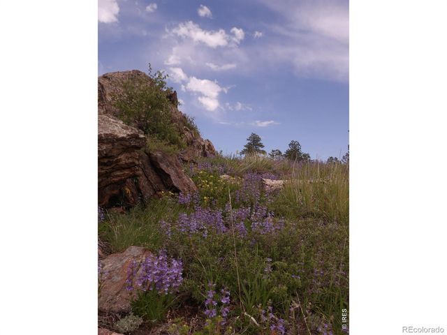 3434 Davis Ranch Road, Bellvue, CO 80512