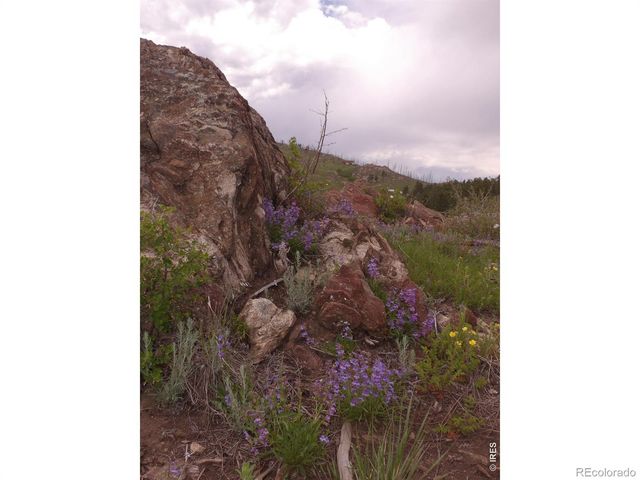 3434 Davis Ranch Road, Bellvue, CO 80512