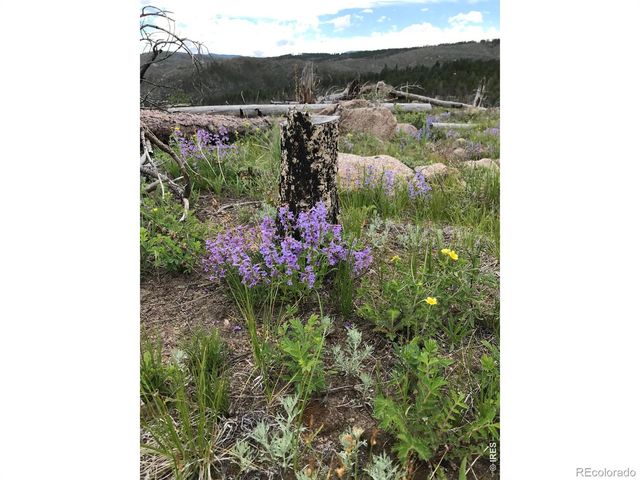 3434 Davis Ranch Road, Bellvue, CO 80512