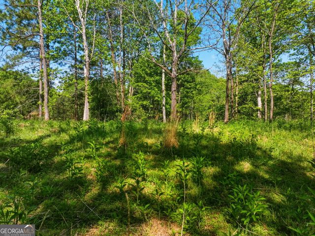 LOT 1 Summit Drive, Dahlonega, GA 30533
