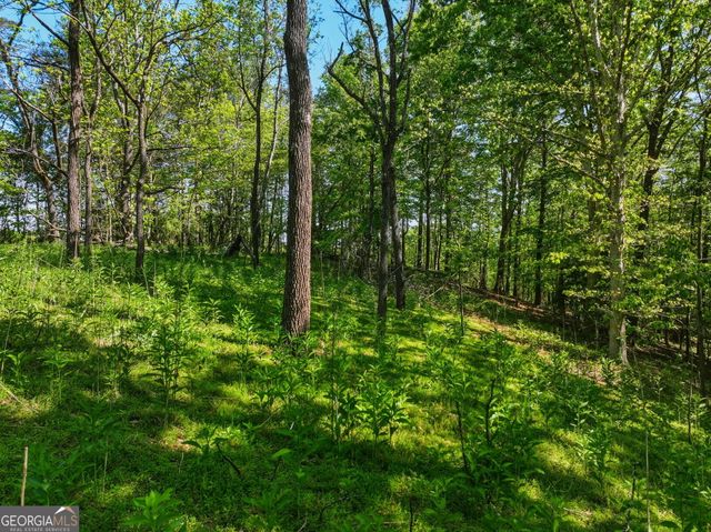 LOT 1 Summit Drive, Dahlonega, GA 30533