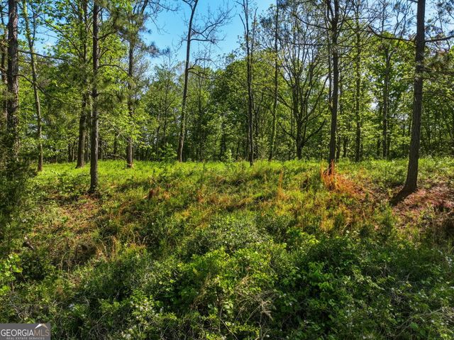 LOT 1 Summit Drive, Dahlonega, GA 30533