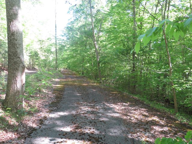 9999 Lots 225,227,228231 Stillwater, Russell Springs, KY 42642