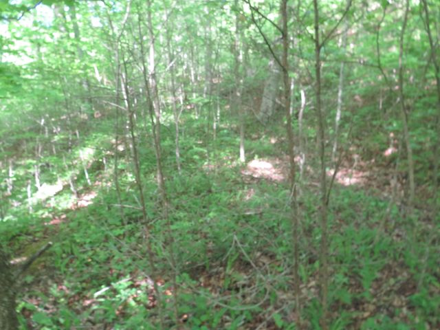 9999 Lots 225,227,228231 Stillwater, Russell Springs, KY 42642