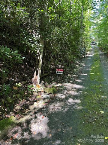 00 Lyle Downs Road, Franklin, NC 28734