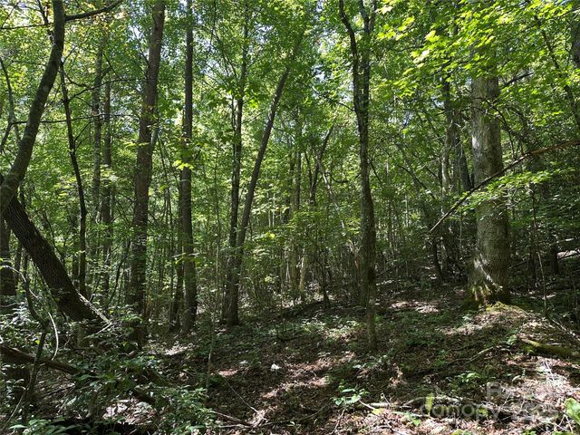 00 Lyle Downs Road, Franklin, NC 28734