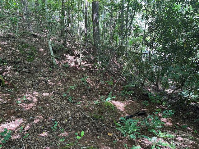 00 Lyle Downs Road, Franklin, NC 28734