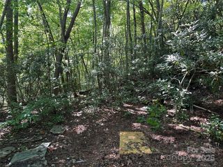 00 Lyle Downs Road, Franklin, NC 28734