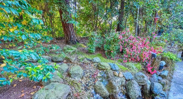20925 Indian Dr, Colfax, CA 95713