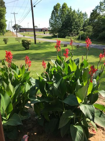 912 N Hickory Street, Bald Knob, AR 72010