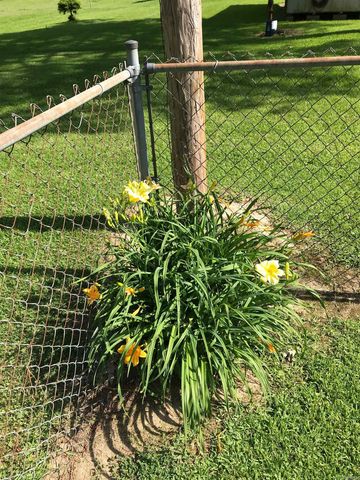 912 N Hickory Street, Bald Knob, AR 72010