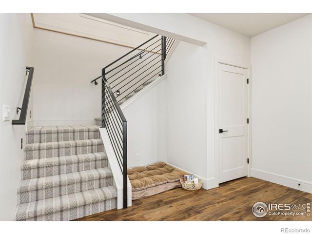 3802 Bridle Ridge Circle, Severance, CO 80524