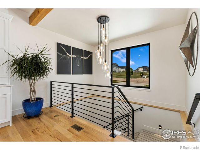 3802 Bridle Ridge Circle, Severance, CO 80524