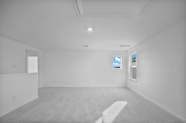 18002 Horse Haven Lane, Hockley, TX 77447