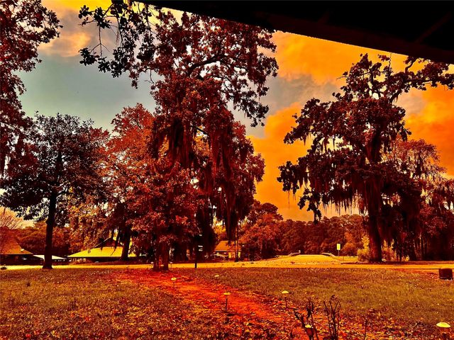 77 Hillsborough Drive, Huntsville, TX 77340