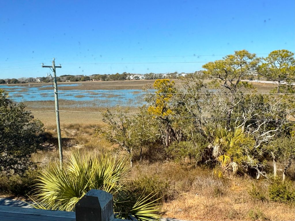 Image 2 of property listing at 1010 Lighterman Way, Charleston, SC 29412