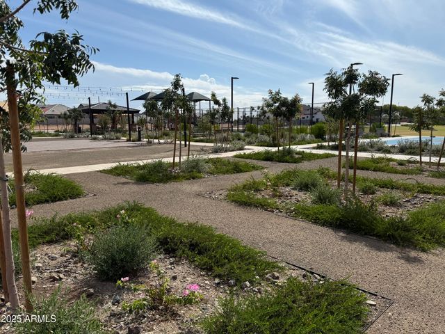 1173 E Palm Beach Drive, Chandler, AZ 85249