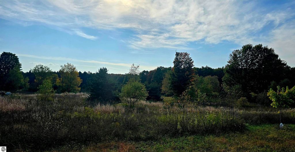 Image 49 of property listing at 303 Westwood Road, Nw, Alden, MI 49612