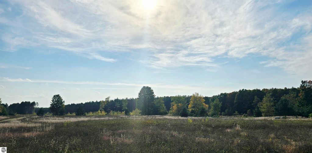 Image 56 of property listing at 303 Westwood Road, Nw, Alden, MI 49612