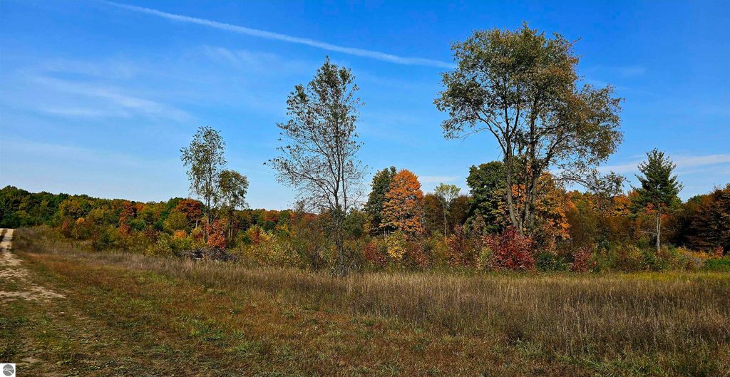 Image 61 of property listing at 303 Westwood Road, Nw, Alden, MI 49612