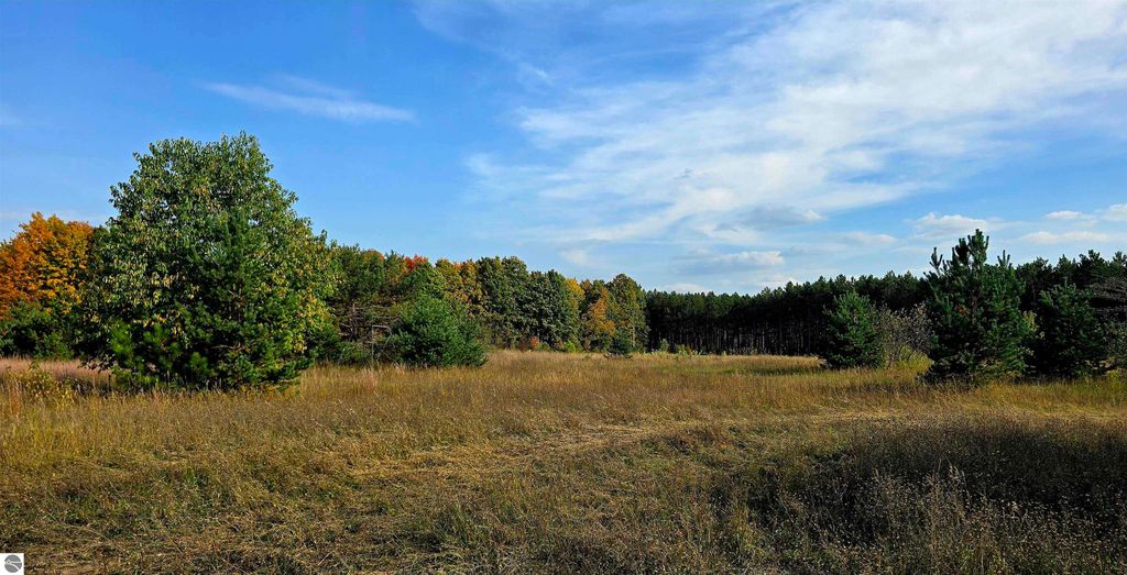 Image 62 of property listing at 303 Westwood Road, Nw, Alden, MI 49612