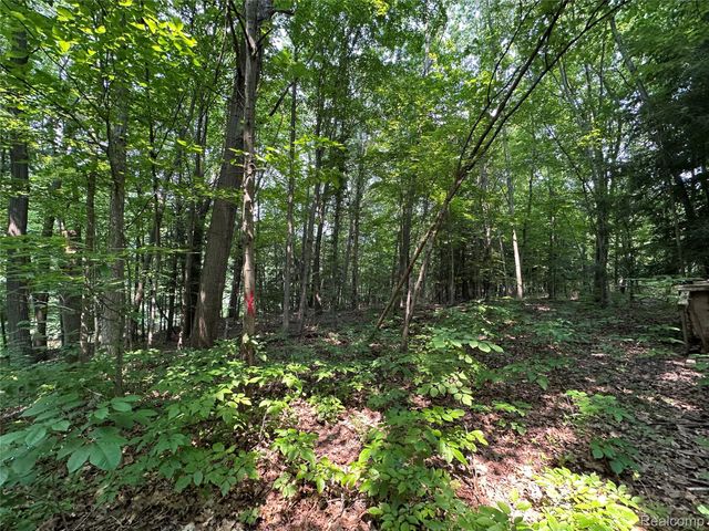 5435 Snow Den Trail, Columbiaville Village, MI 48421