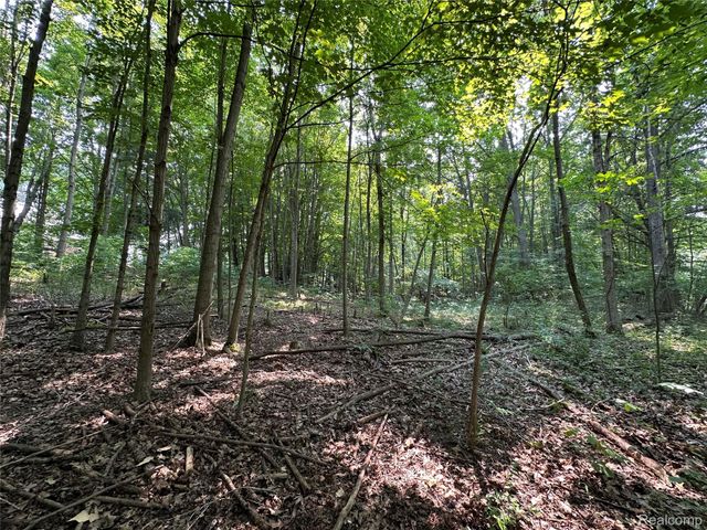 5435 Snow Den Trail, Columbiaville Village, MI 48421