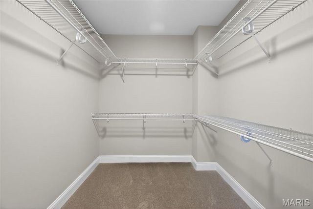 847 Palm Bay Drive, Ellisville, MO 63021