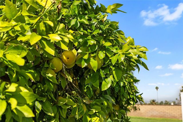 2429 Chauncy Place, Riverside, CA 92506