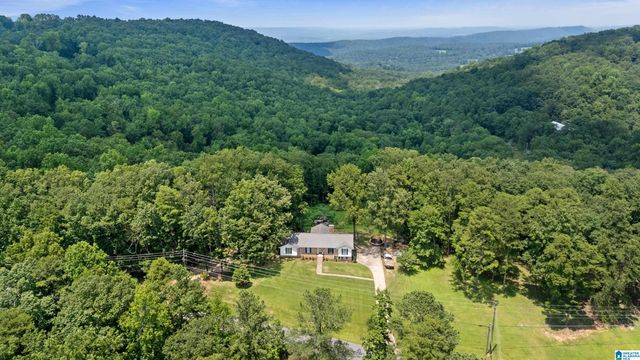 2289 GRANDVIEW TRAIL, Warrior, AL 35180
