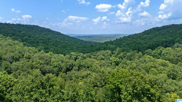 2289 GRANDVIEW TRAIL, Warrior, AL 35180