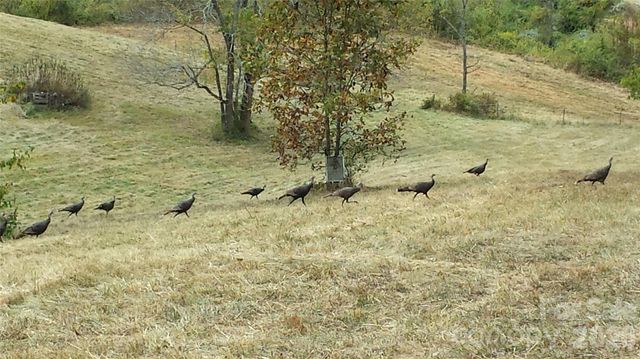 30 Morning Glory Lane, Weaverville, NC 28787