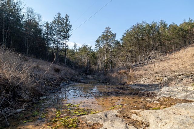 863 Collins Lane, Galena, MO 65656