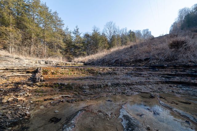 863 Collins Lane, Galena, MO 65656