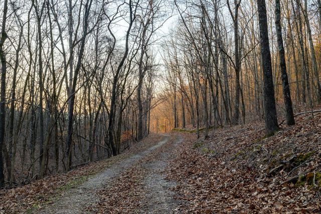 863 Collins Lane, Galena, MO 65656