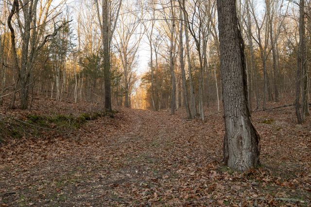 863 Collins Lane, Galena, MO 65656