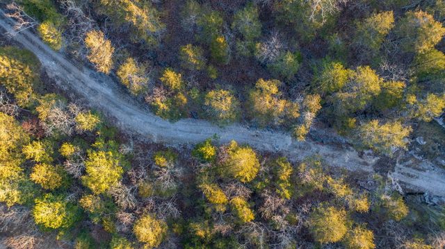 863 Collins Lane, Galena, MO 65656