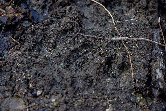 863 Collins Lane, Galena, MO 65656