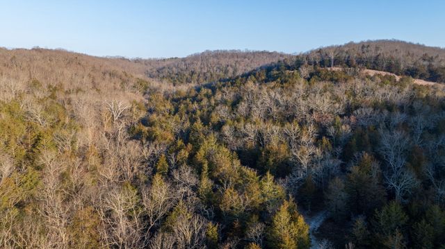 863 Collins Lane, Galena, MO 65656