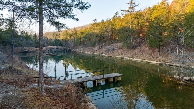 863 Collins Lane, Galena, MO 65656