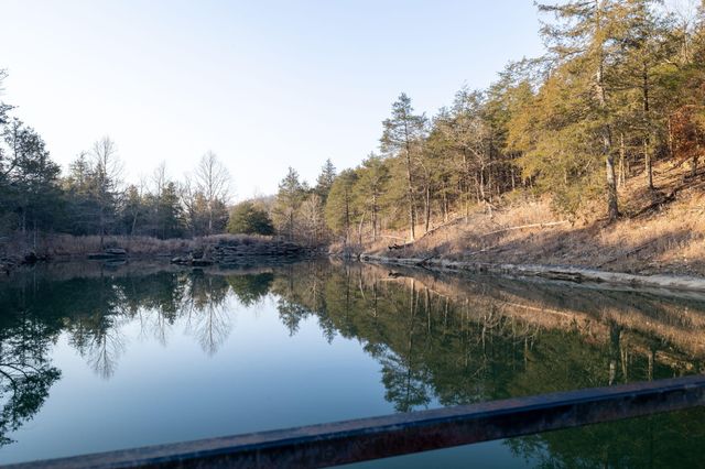 863 Collins Lane, Galena, MO 65656