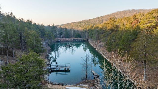 863 Collins Lane, Galena, MO 65656