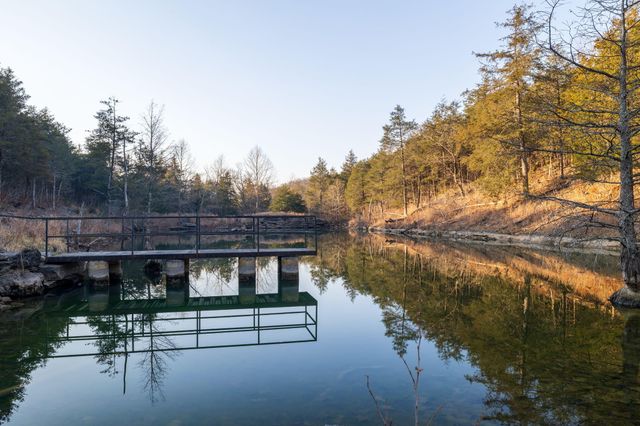 863 Collins Lane, Galena, MO 65656