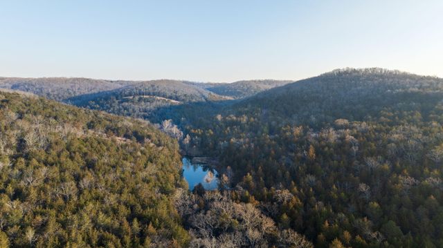 863 Collins Lane, Galena, MO 65656