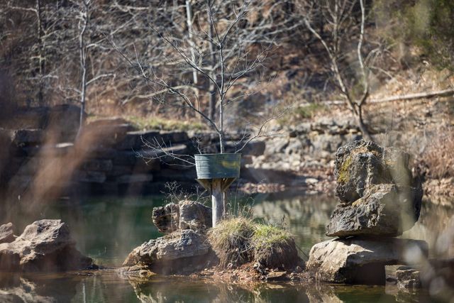 863 Collins Lane, Galena, MO 65656