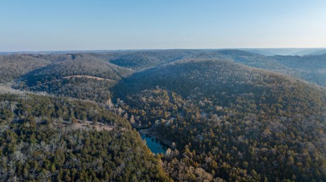 863 Collins Lane, Galena, MO 65656