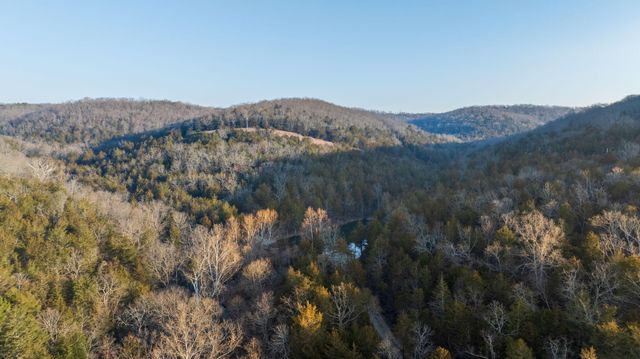 863 Collins Lane, Galena, MO 65656